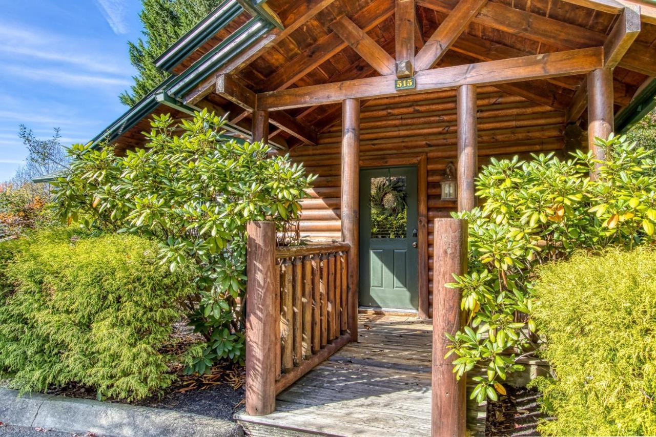 Dog Friendly, Romantic Mtn Getaway Hot Tub Pool Gatlinburg Exterior foto
