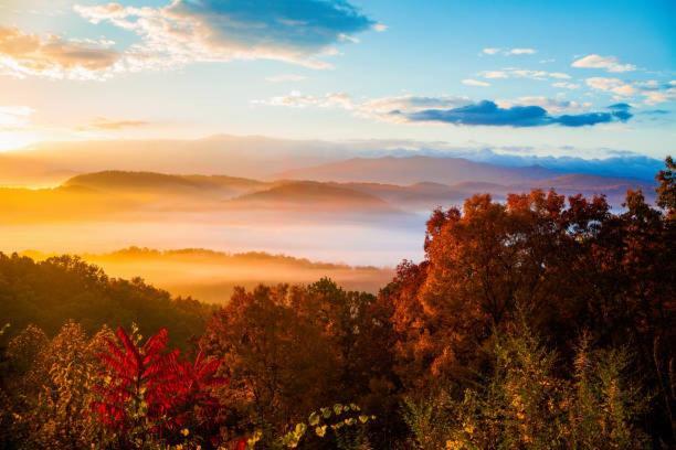 Dog Friendly, Romantic Mtn Getaway Hot Tub Pool Gatlinburg Exterior foto